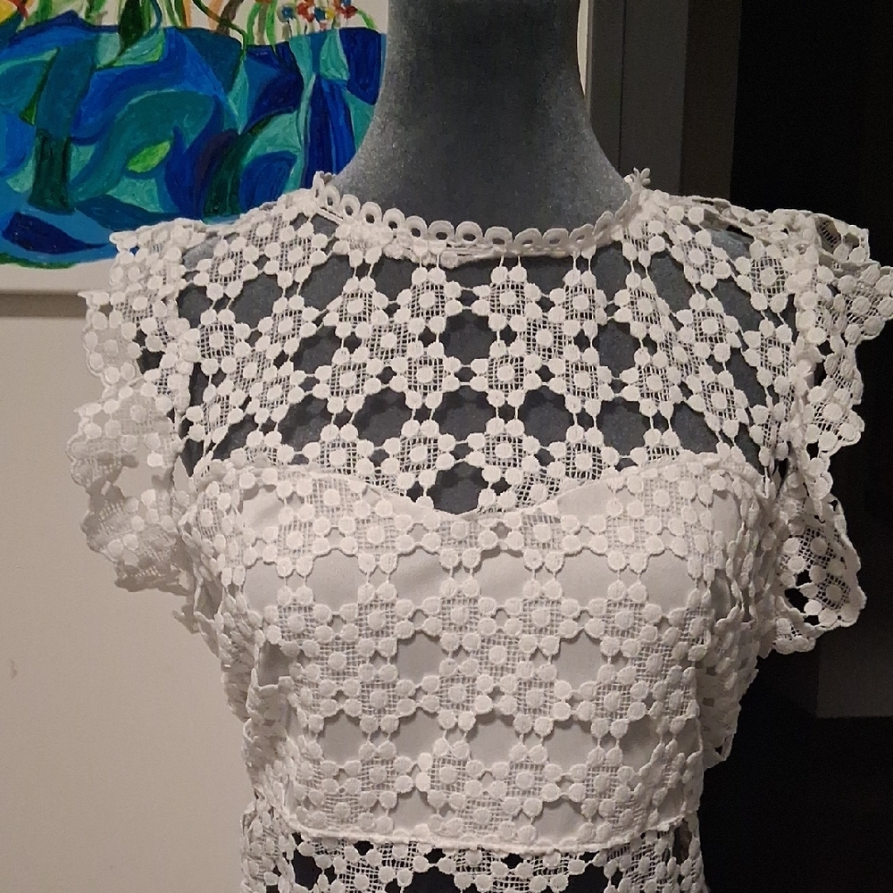 Petal & Pup Ivory Floral Lace Midi Dress - Picture 2 of 6